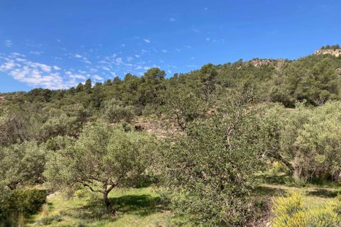 Landejendom i El Perello, Tarragona, El Perello - € 36.000 | Ref: Finca Montanas - foto 45